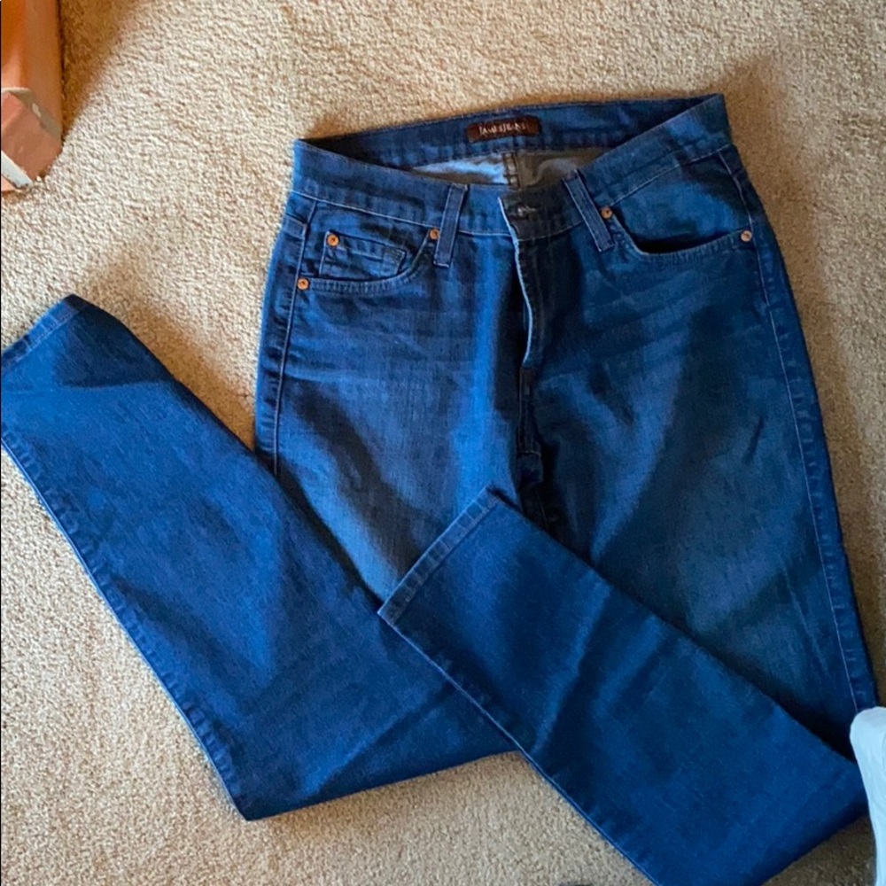 James jeans twiggy